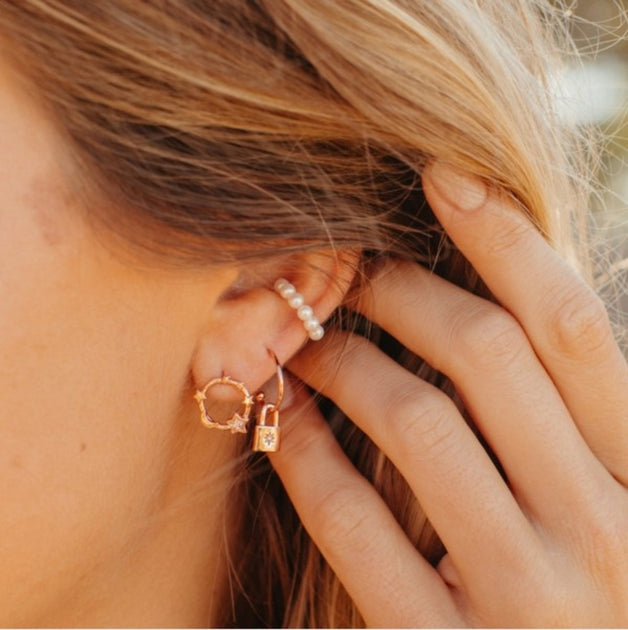 Pura Vida Lock Hoop Rose Gold Earrings – Mission Pet Supplies