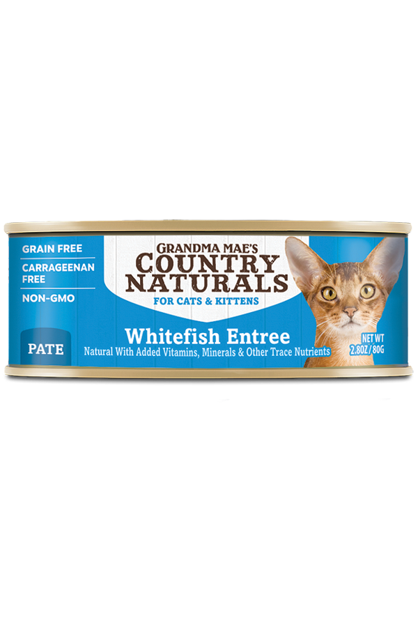 COUNTRY NATURALS Whitefish Pate Grain Free Canned Cat Food-  For Cats + Kittens