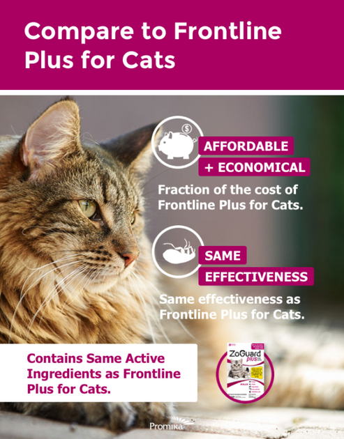 Cost of frontline for cats online