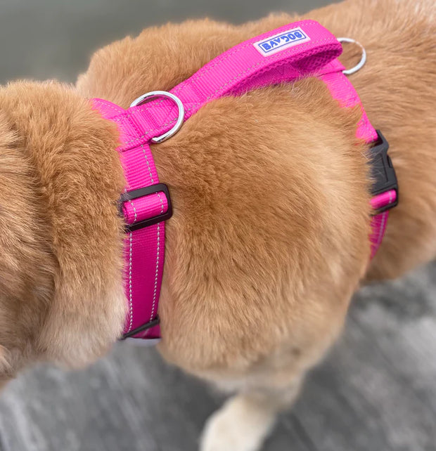 BayDog  Chesapeake Dog Harness- Pink