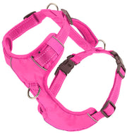 BayDog  Chesapeake Dog Harness- Pink