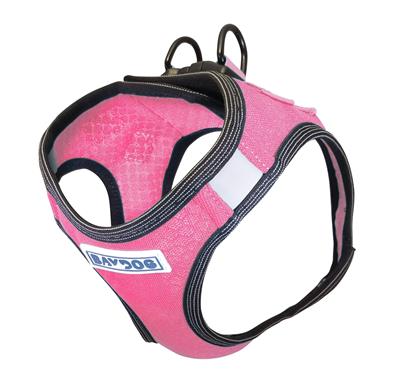 BayDog Liberty Bay Dog Harness- Pink Lemonade