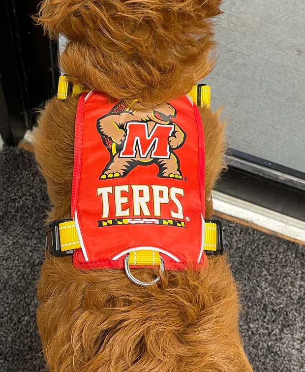 BayDog College Dog Harness- Maryland