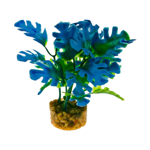 Blue Ribbon Colorburst Florals Philo Leaf Plant- Blue