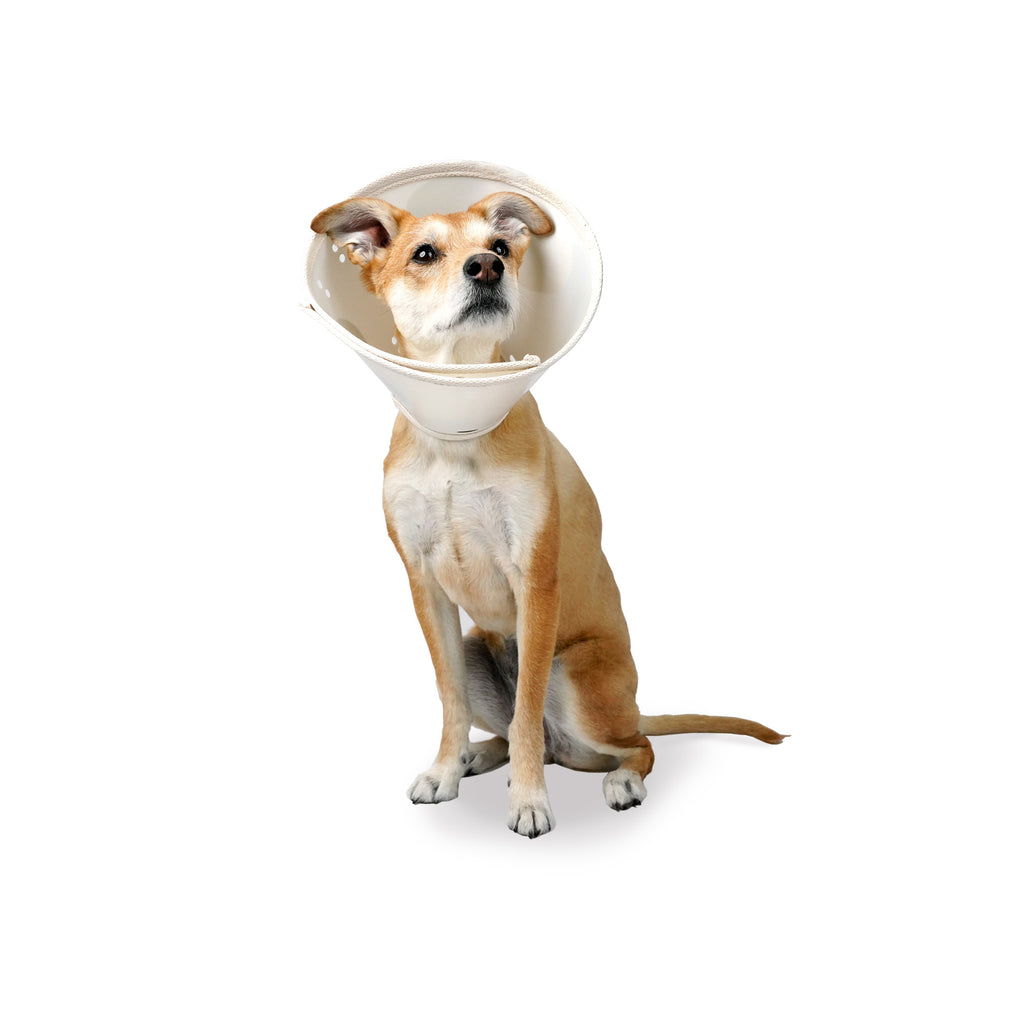 Calming cone for dogs best sale