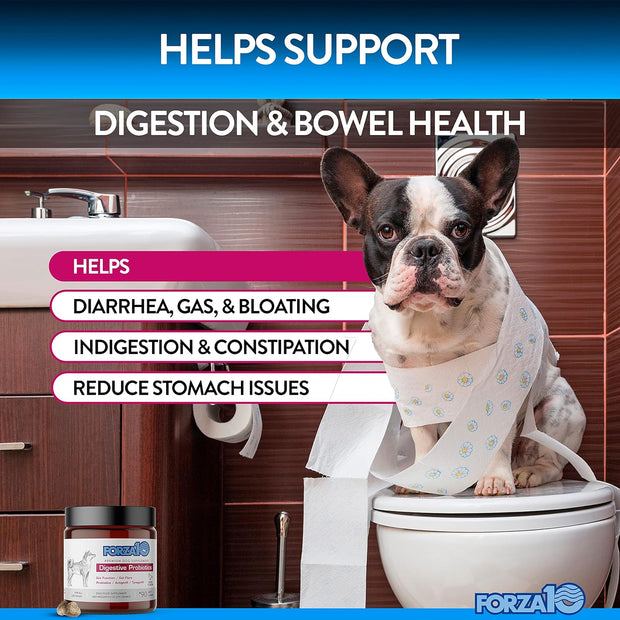 Forza10 Premium Dog Supplement- Digestive Support Probiotic Chews