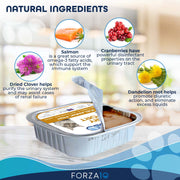 Forza10 NUTRACEUTIC URINARY ACTIVE WET CAT FOOD