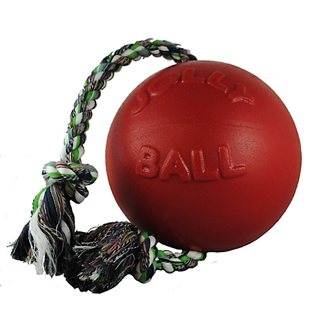 Jolly Pets Romp-n-Roll Ball Dog Toy