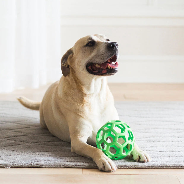 JW Hol-EE Roller Dog Toy