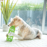 JW Hol-ee Bottle Dog Toy