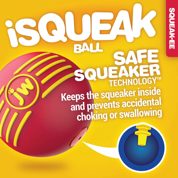 JW ISqueak Ball Dog Toy