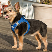 BayDog Liberty Bay Dog Harness- BLUE