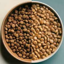 Petcurean NOW FRESH- Salmon with Grains-Gravy-Dog Food