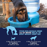 Petmate Big Blue Outdoor Water Bowl