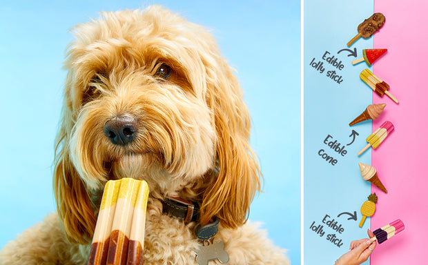 Pup Ice Rocket Lollies Ready to Freeze Dog Ice Cream -2 Pk  Strawberry and Blueberry Flavor