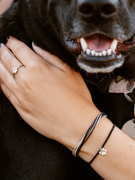 Pura Vida Best Friends Animal Society Paw Print Charm Bracelet