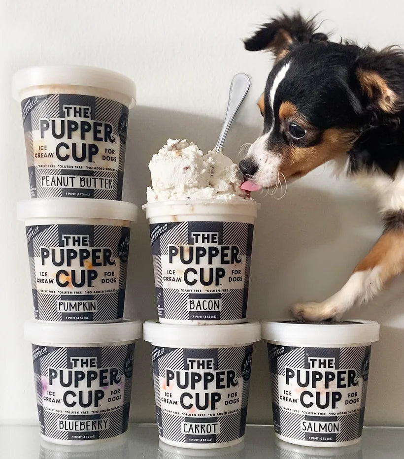 Dog ice cream sales cups