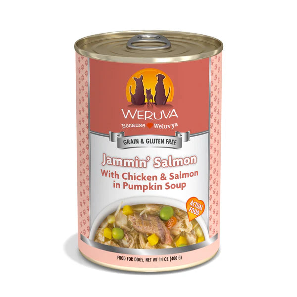 Weruva Jammin' Salmon Dog Food with Chicken & Salmon in Pumpkin Soup