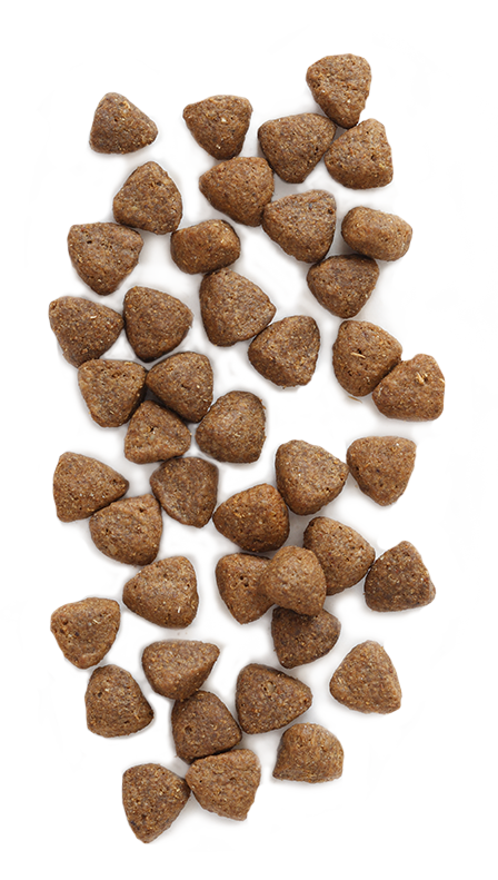 EARTHBORN Holistic Ocean Fusion Dog Food