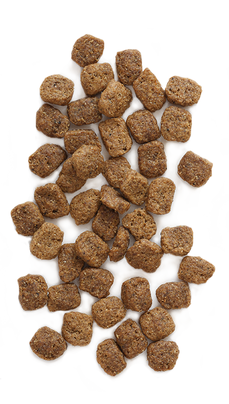 Earthborn holistic grain free meadow feast dog shop food