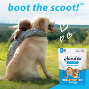GLANDEX Anal Gland Soft Chew - Peanut Butter