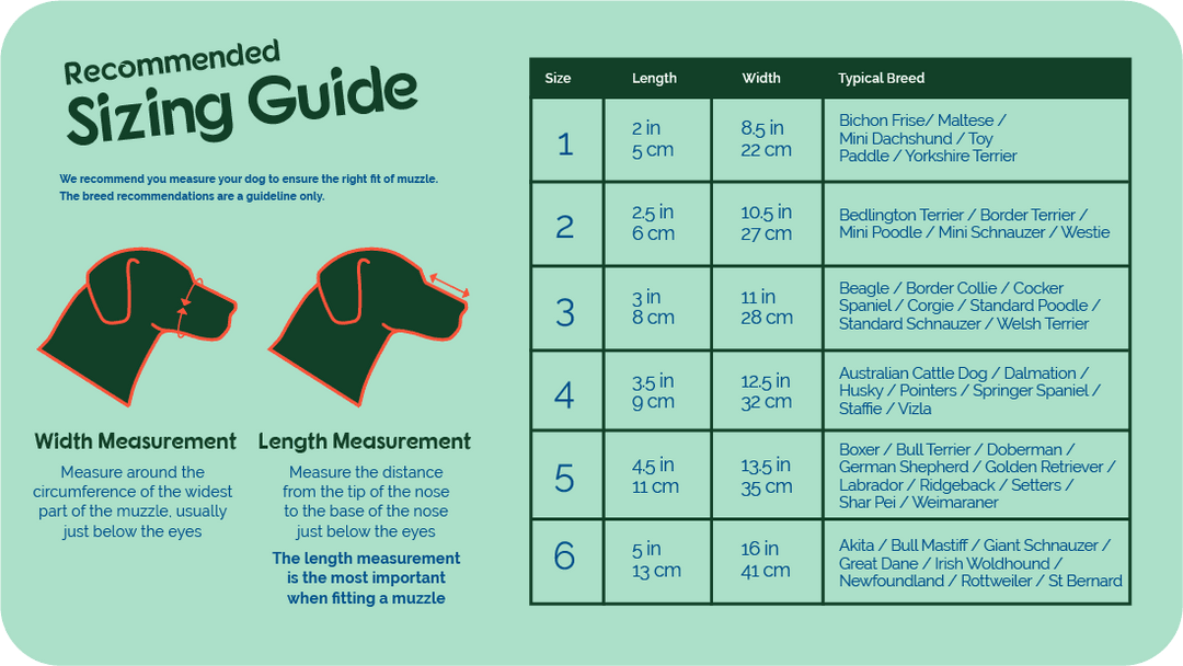 Baskerville Ultra Dog Muzzle