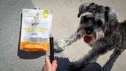 SHAMELESS PETS Carrate Chomp Dental Sticks Dog Treats