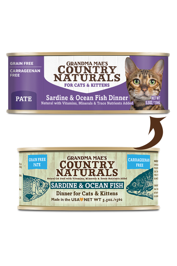 COUNTRY NATURALS Grain Free Sardine and Ocean Fish Pate Canned Cat Food-  For Cats + Kittens