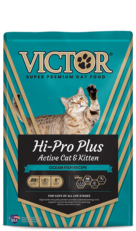 VICTOR Hi- Pro Plus Active Cat/ Kitten Dry Food