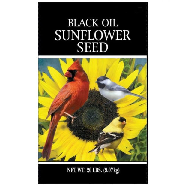 SHAFER Black Oil Sunflower Seed