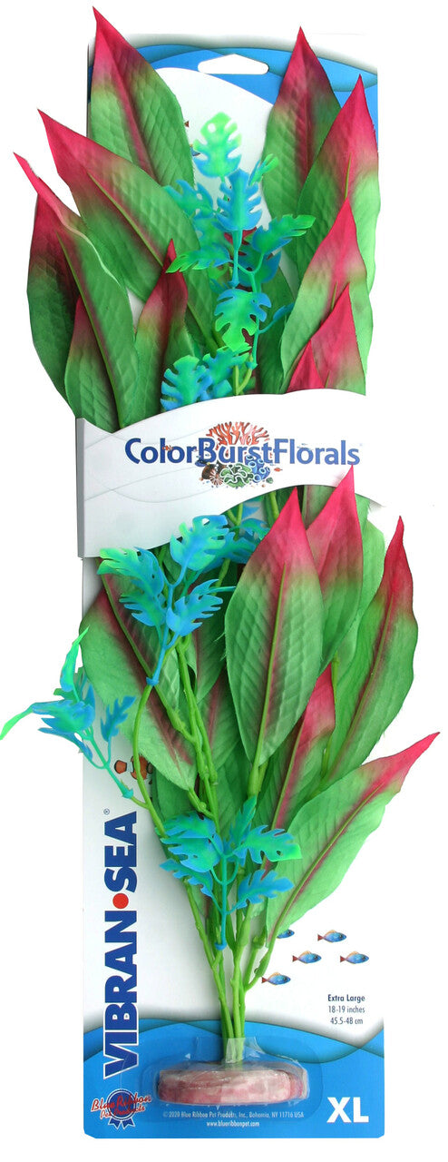 Blue Ribbon Colorburst Florals Amazon Sword Silk Plant -Green