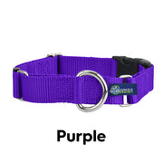 2HOUNDSDESIGN Keystone Buckle Nylon Martingale Collar - Purple -MADE IN THE USA