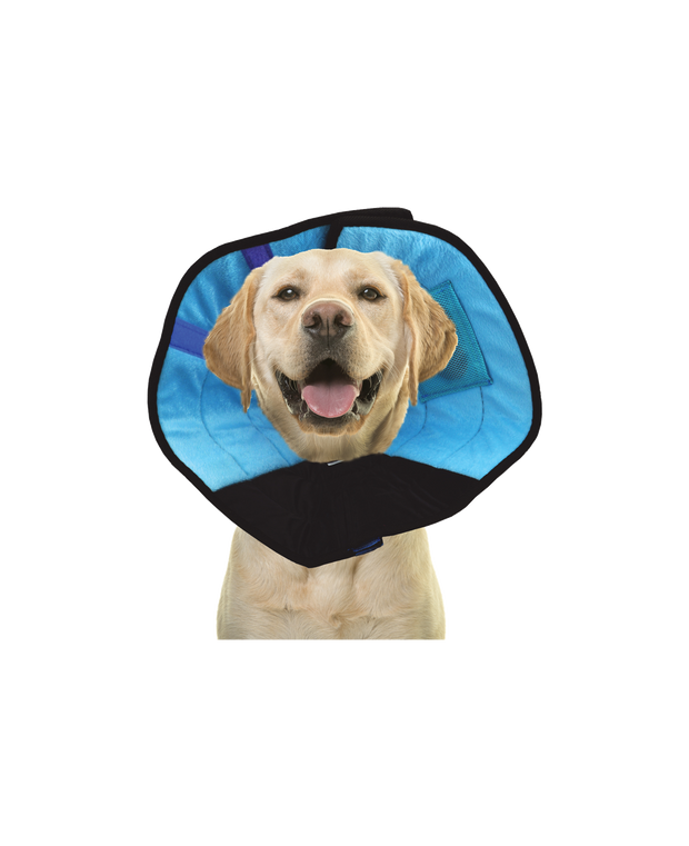 Calm paws caring collar 2025