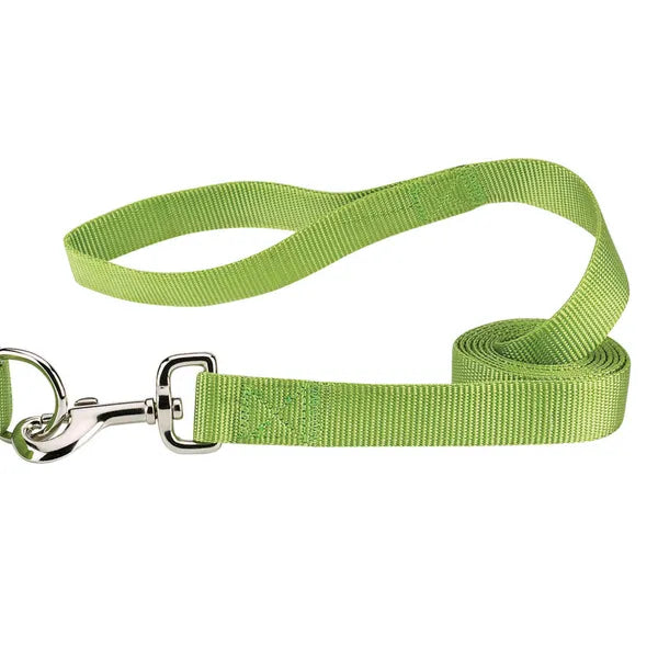 Casual Canine Lead 6' Dog Leash- Various Colors