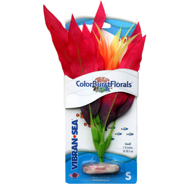 Blue Ribbon Colorburst Florals Amazon Sword Silk Plant -Red