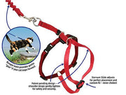 PETSAFE Come With Me Kitty Cat Harness