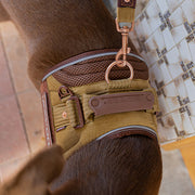EZYDog Convert Dog Harness - Corduroy