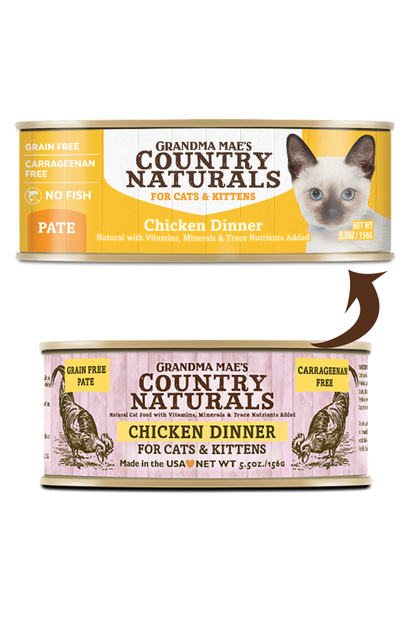 Carrageenan free cat deals food