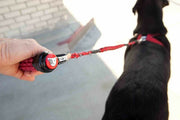 EZYDOG CUJO™ LEASH -Original Shock Absorbing Dog Leash