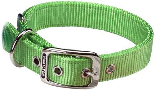 Hamilton Nylon Deluxe Dog Collar - Lime Green