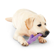 Hugglehounds Bobb Tuffut-Lon Bone Dog Toy with Grilled Chicken Flavoring