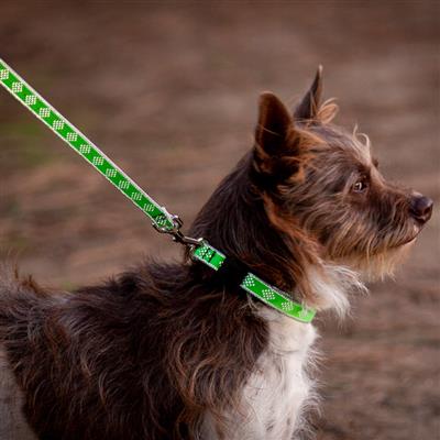 LupinePet High Light Dog Collar and Dog Leash - Green Diamond - MADE IN THE USA
