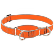 LupinePet High Light Dog Collar and Dog Leash - Orange Diamond - MADE IN THE USA