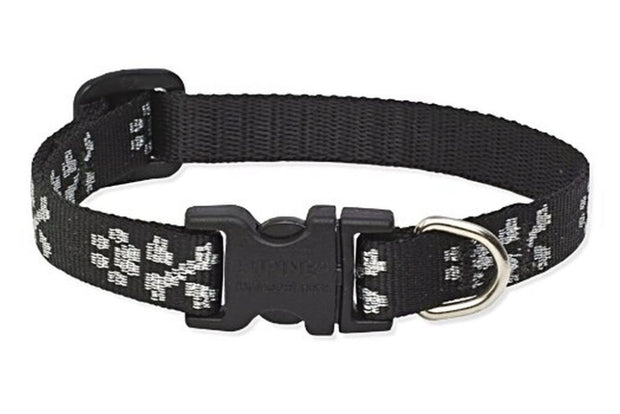 LupinePet Dog Collar and Dog Leash - Bling Bonz- MADE IN THE USA