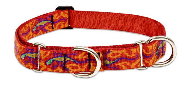 LupinePet Dog Collar and Dog Leash - Go Go Gecko- MADE IN THE USA