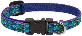 LupinePet Dog Collar and Dog Leash -Rain Song- MADE IN THE USA