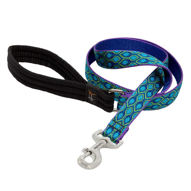LupinePet Dog Collar and Dog Leash -Rain Song- MADE IN THE USA
