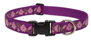 LupinePet Dog Collar and Dog Leash - Rose Garden - MADE IN THE USA