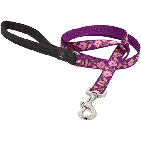 LupinePet Dog Collar and Dog Leash - Rose Garden - MADE IN THE USA