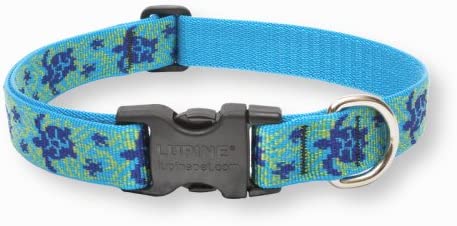 LupinePet Dog Collar and Dog Leash - Turtle Reef- MADE IN THE USA